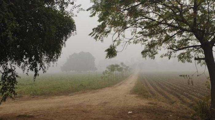 With sun out, govt lifts restrictions