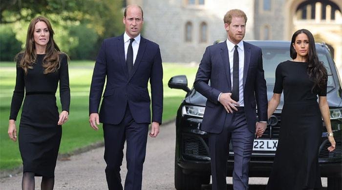 Kate Middleton offers olive branch to Harry, Meghan Markle with emotional statement?
