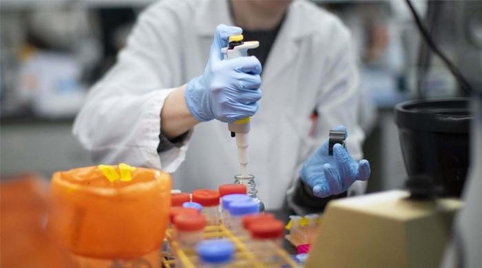 Lab leak or natural spillover?