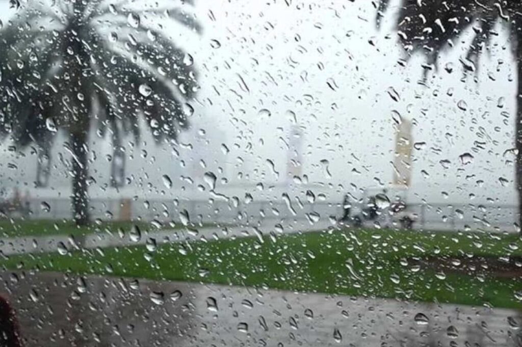 Good rains fall on the Emirates .. and expectations of their continuation