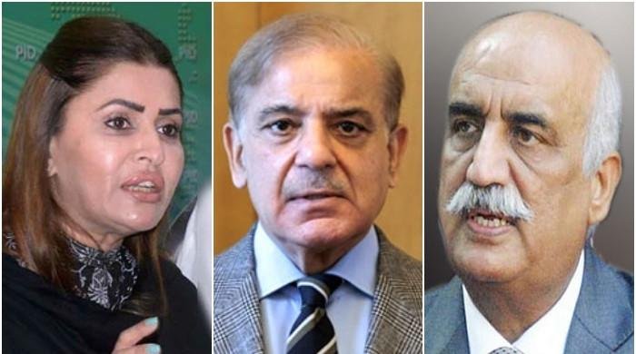 In meeting with PM Shehbaz, PPP calls for implementing ‘power-sharing formula’