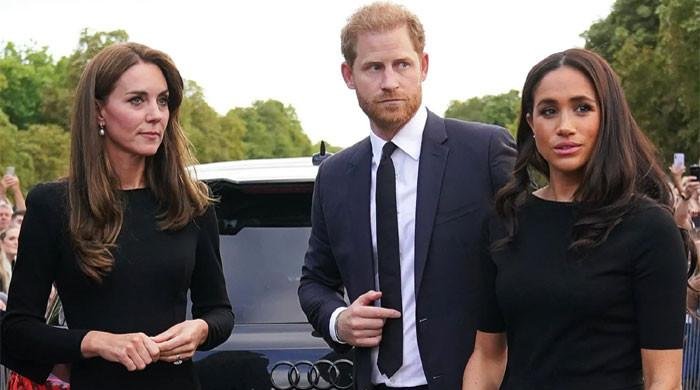 Kate Middleton gives Prince Harry ‘renewed hope’ as she reaches out to duke