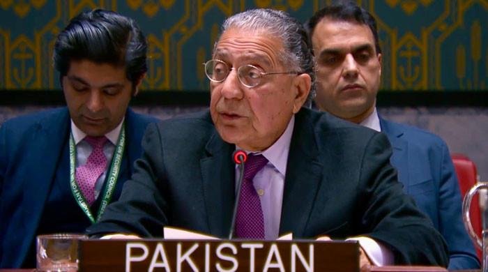 At UNSC, Pakistan demands action against terrorist safe havens in Afghanistan
