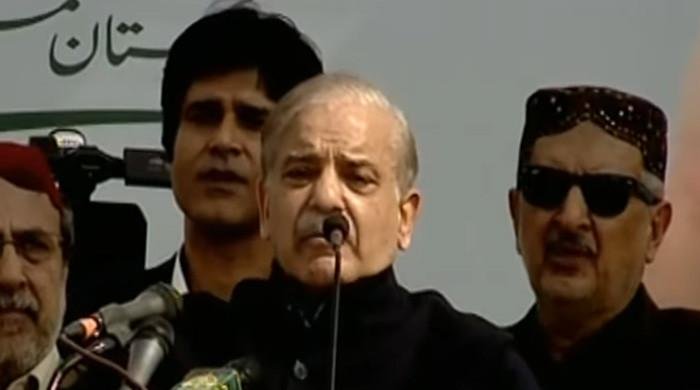 PM Shehbaz vows lower electricity bills, cancer hospital