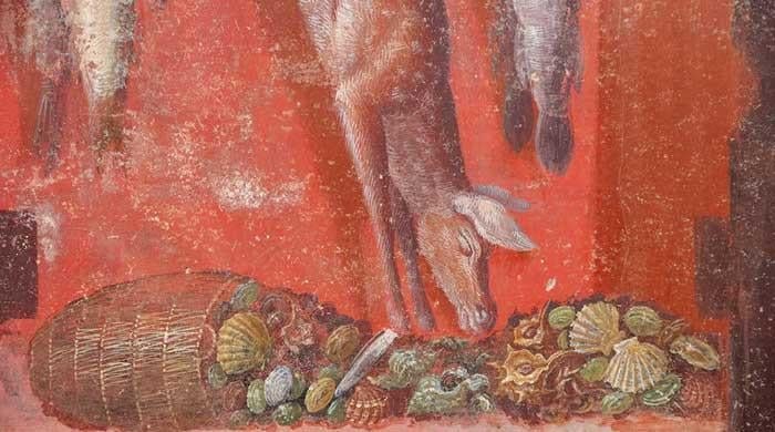 Rare frescoes unearthed in Pompeii shed light on ancient rituals