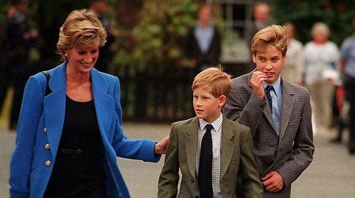 Princess Diana ‘greatest worry’ if she were alive