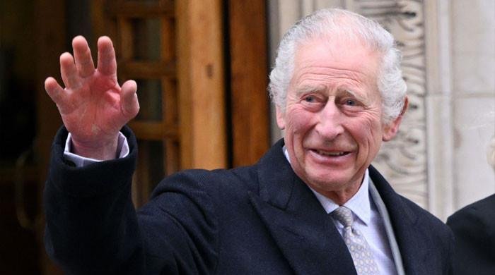 King Charles soft diplomacy is ‘being discussed at higher levels’
