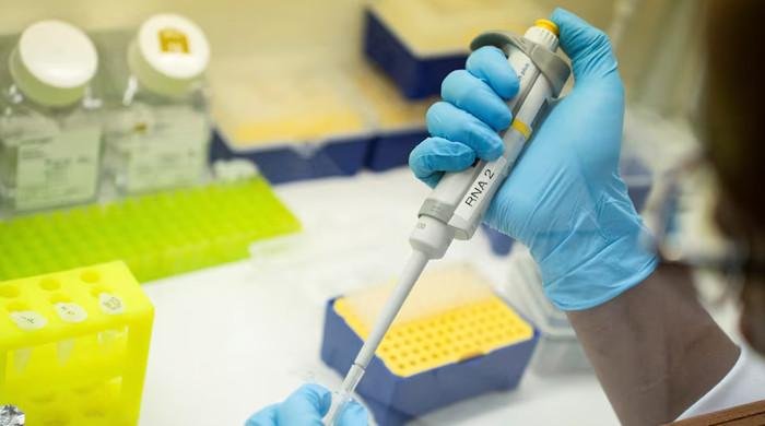 Gene therapy loses luster as investors eye quicker returns from weight-loss drugs