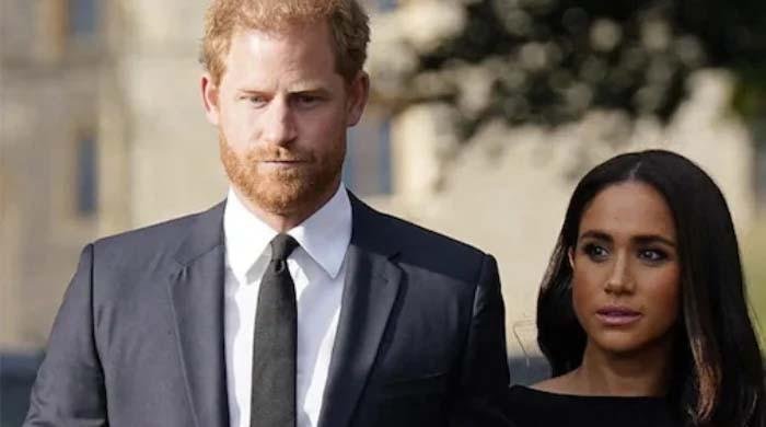 Prince Harry, Meghan Markle harshly mocked on THIS tv show
