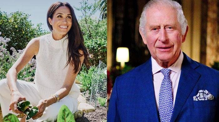 Meghan Markle breaks silence after claims she reaches out to King Charles