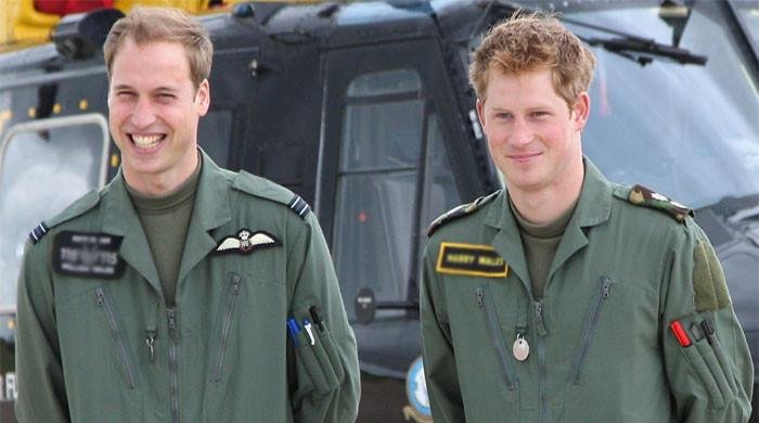 Prince Harry appears in new photos after royal family reunion