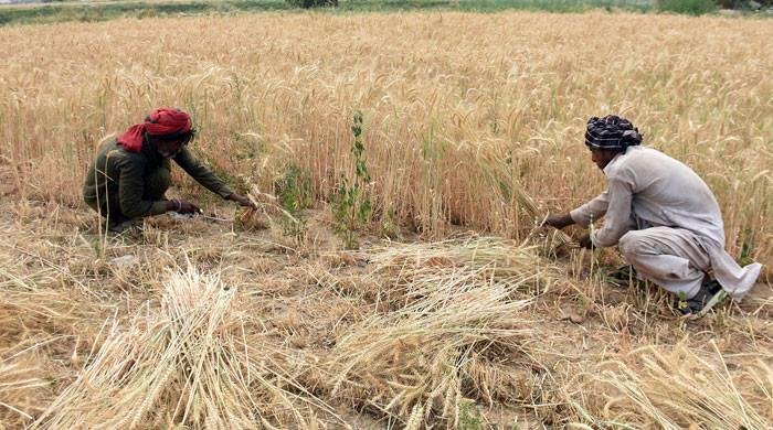 Punjab govt’s relief for farmers: help or hype?