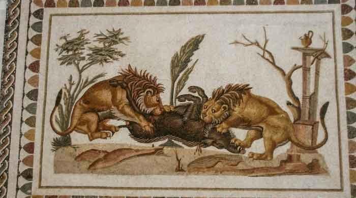 Bite marks reveal gladiator’s fatal encounter with a lion in ancient Britain