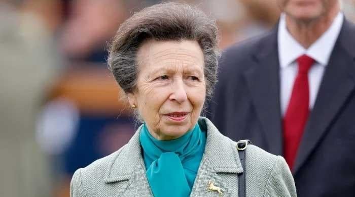 Princess Anne suffered minor injury before Turkey visit