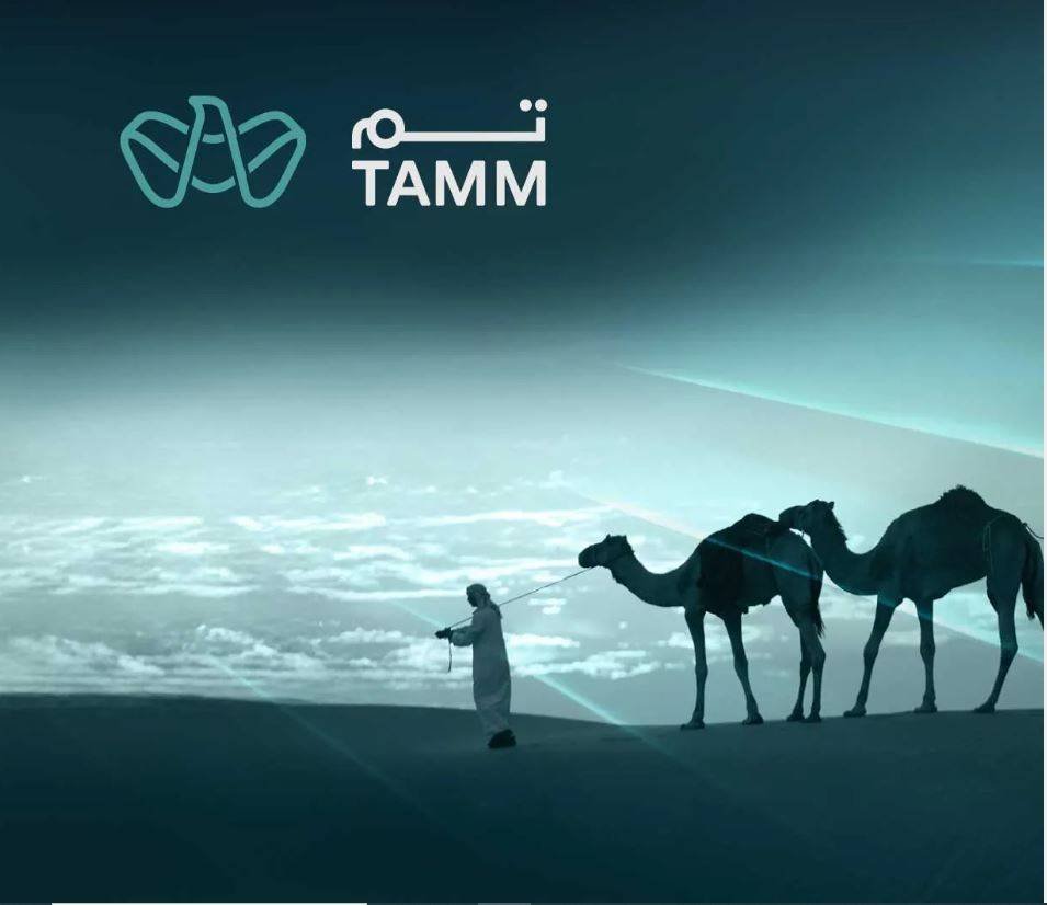 “Abu Dhabi Environment” launches the instant license service for camel grazing via the “Tam” platform