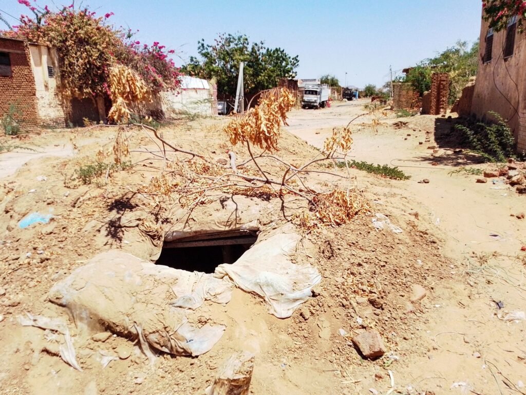 Sudanese paramilitary RSF kills 19 after taking city of al-Nahud: Sources | Sudan war News