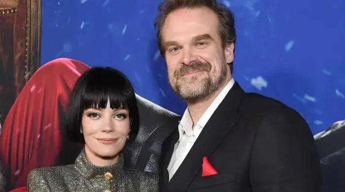 Lily Allen was blindsided with David Harbour behavior before split: Source