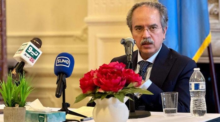 Implementing UN resolutions vital for regional peace: Pak envoy