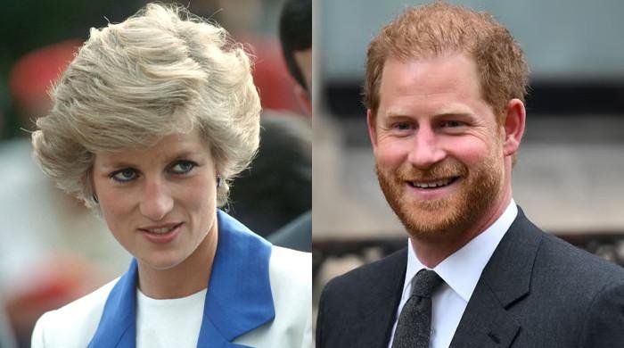 Princess Diana would be ‘proud’ of Prince Harry’s shock ‘BBC’ interview
