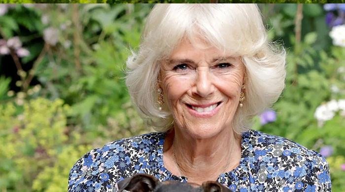 Royal family releases first photo of Queen Camilla’s puppy