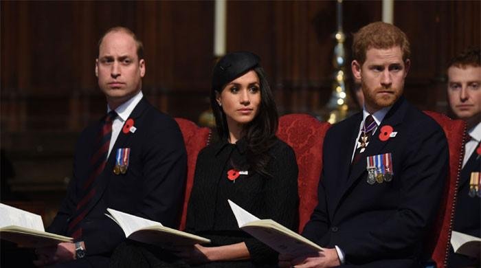 Prince William ‘lost all his patience’ when it comes to Harry, Meghan Markle