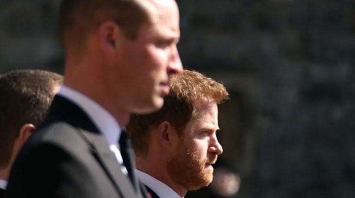 Prince William’s distance from Prince Harry sparks questions: ‘What really happened?’