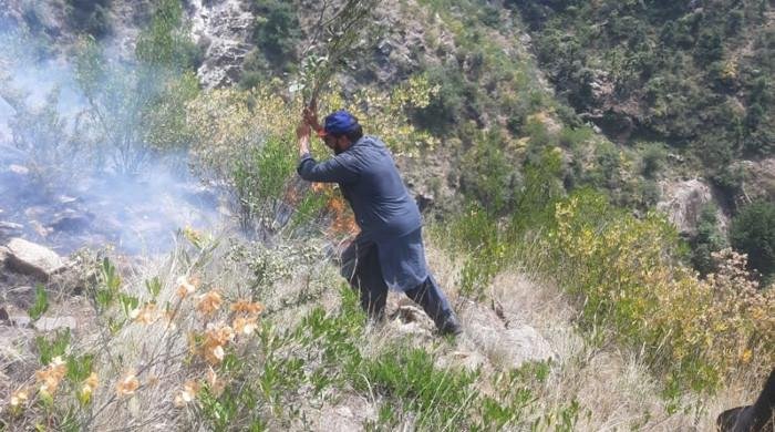 Severe heatwave sparks forest fires across eight locations in KP