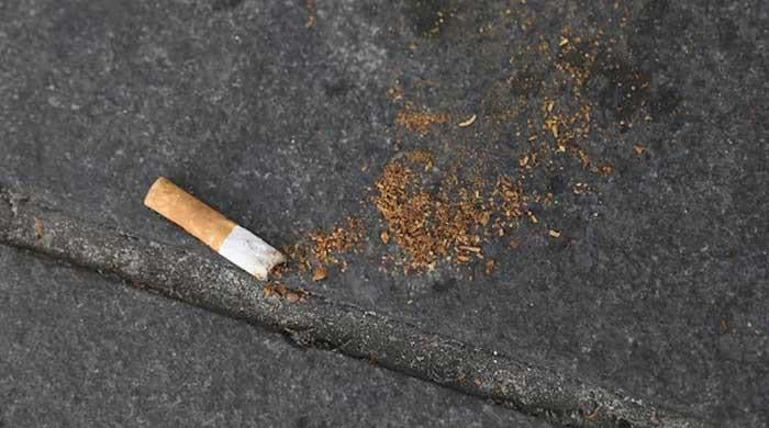 France bans smoking in beaches, in parks and bus shelters