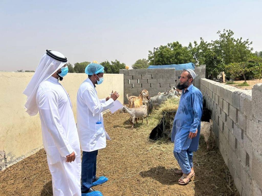 Umm Al -Quwain launches our “Halal Mawafi” to support animal production