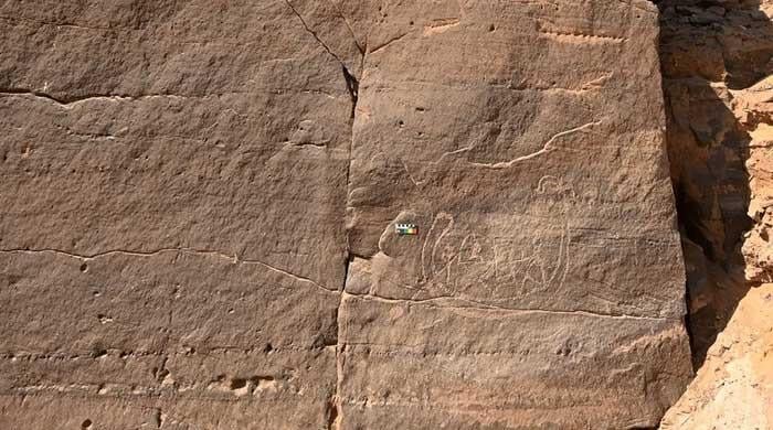 Ancient Egyptian rock art near Aswan may date to early first dynasty