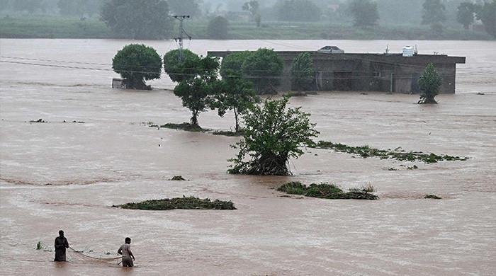 Monsoon fury kills over 50 in Punjab as rain emergency declared in major cities