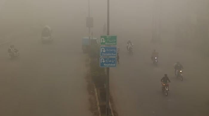 Toxic air exposure significantly raises dementia risk, finds study
