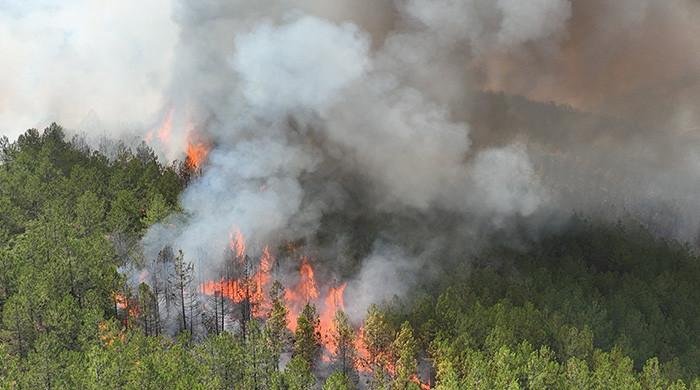 Firefighters battle blazes in Turkey, Greece, Albania
