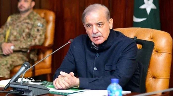 PM Shehbaz urges global action as Israel pushes ‘illegal’ Gaza takeover plan