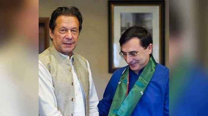 Gohar a key figure to seek relief for PTI, Khan but…