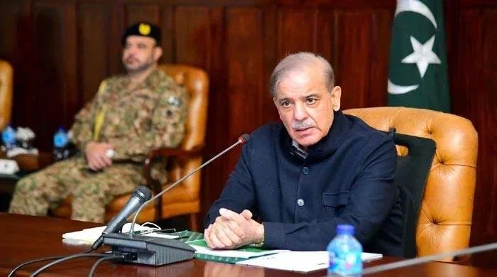 PM Shehbaz asks finance ministry to seek IMF relief on electricity bills for flood affectees