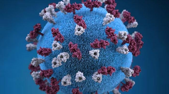 Child dies from rare measles complication after infection in infancy