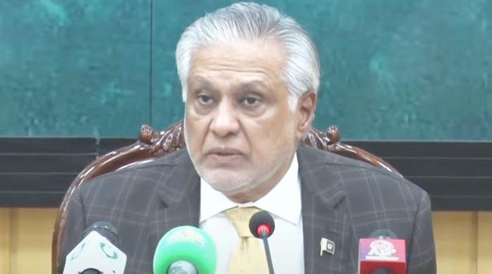 Pakistan yet to decide on sending army to Palestine as part of peace troops: FM Dar