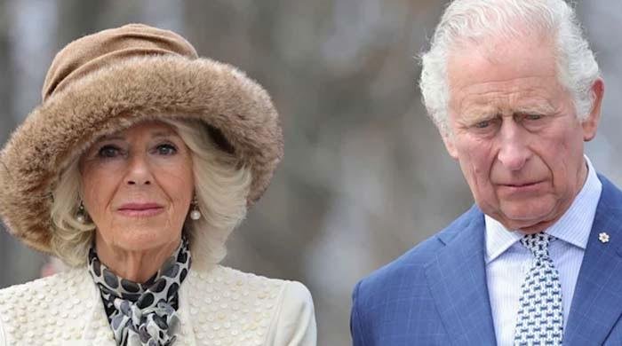 King Charles ‘irritated beyond belief’ by Queen Camilla’s THIS request