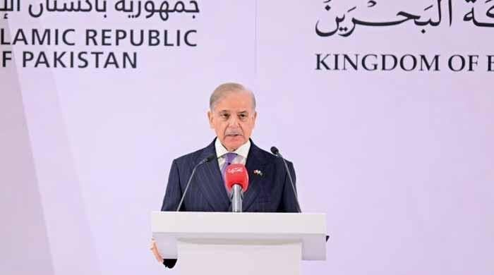 Pakistan-GCC free trade agreement in final stages, says PM Shehbaz