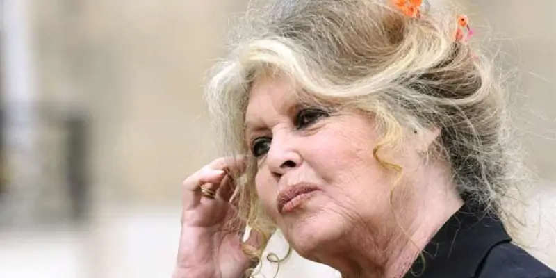 Brigitte Bardot dies at 91, leaving Behind legacy of fame, activism and controversy