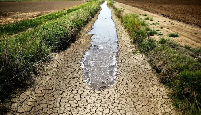 Balochistan faces agricultural crisis with arable land reduced to 7.2%