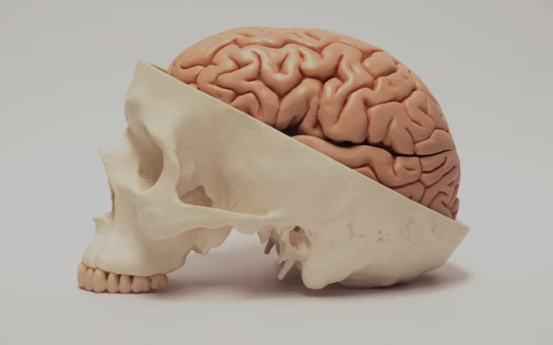 Mouth bacteria may increase risk of serious brain disorders