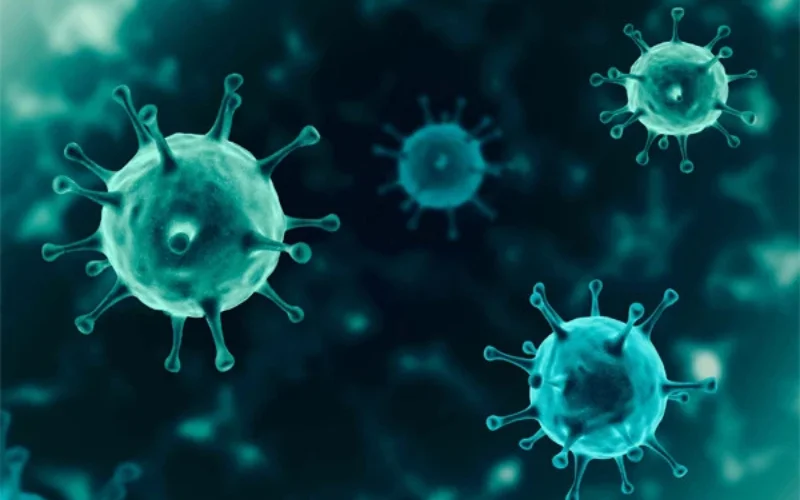 New nanomaterial could revolutionize cancer therapy, study finds