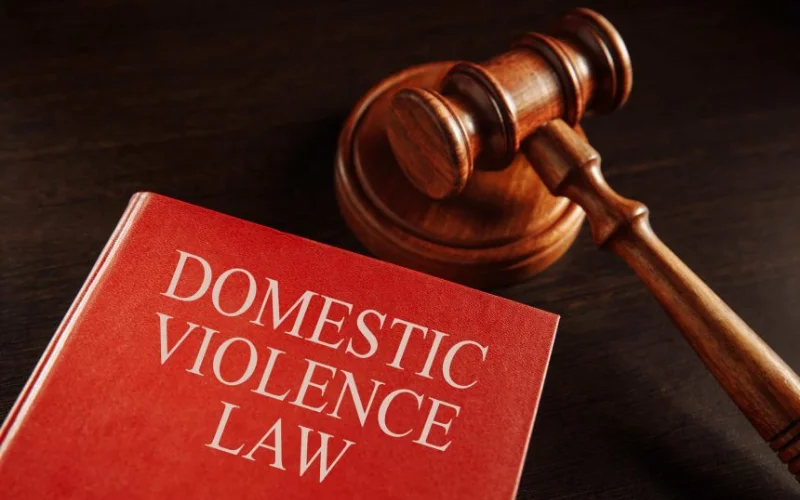 New domestic violence law shields wives from threats and abuse