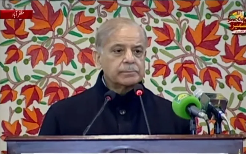 PM Shehbaz Sharif says Kashmir’s freedom near after historic sacrifices