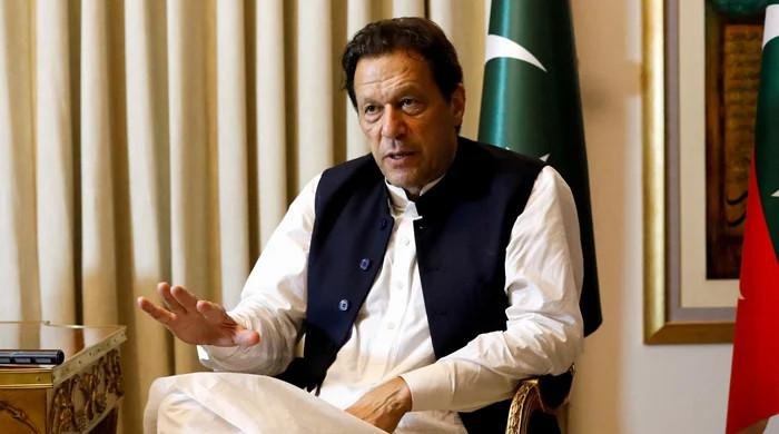 Epstein files show UN official called Imran Khan ‘London society lion’