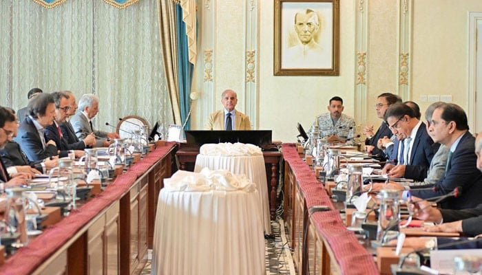 Pakistan successfully managing demand, supply of essential goods amid Mideast conflict: PM
