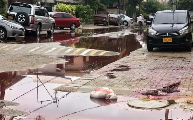 Karachi cleanup operation continues after Eid-ul-Adha
