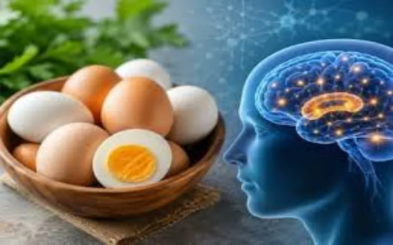 Regular egg eating helps in lower Dementia risk